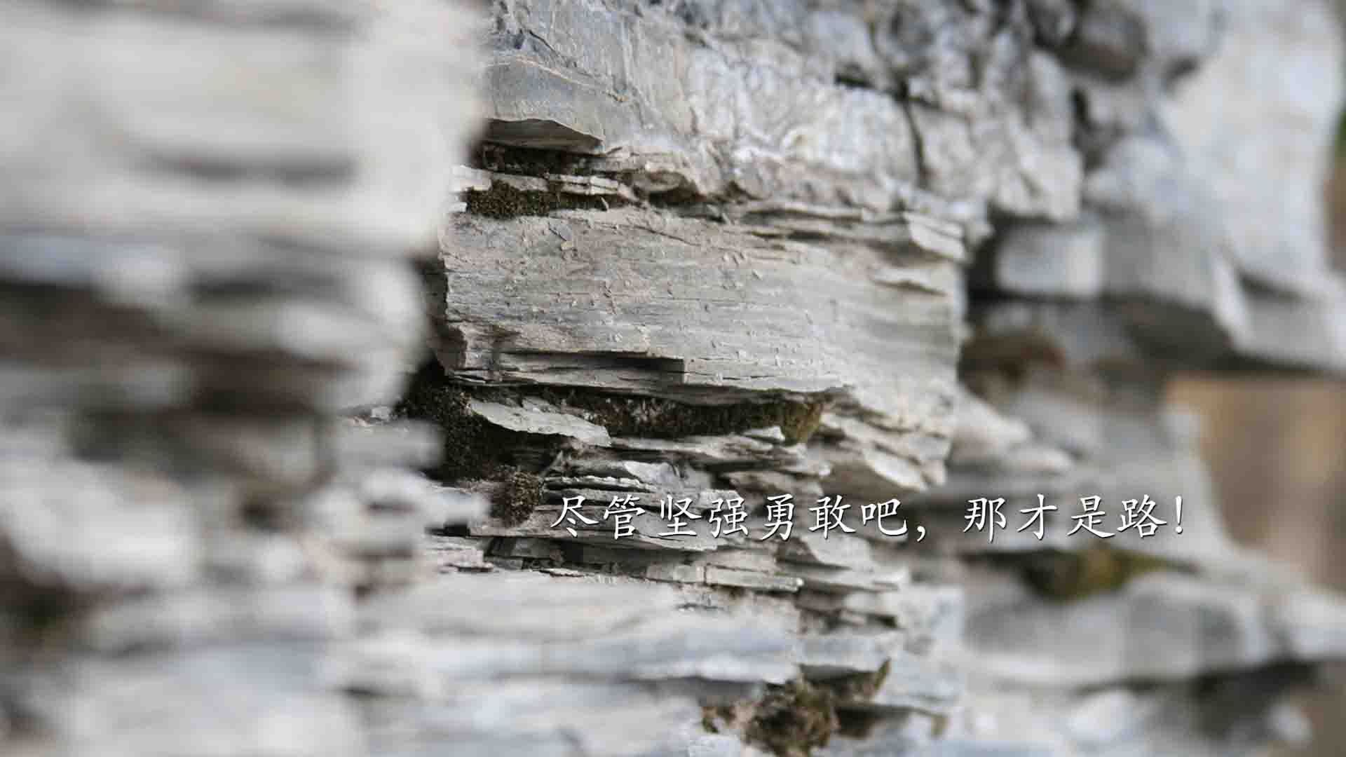 “快攻制胜！新都福乐球赛选手展现非凡技艺”