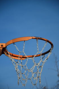 开云·体育全站登录地址-NBA球队球员培养规划设计，nba对球员的要求是什么