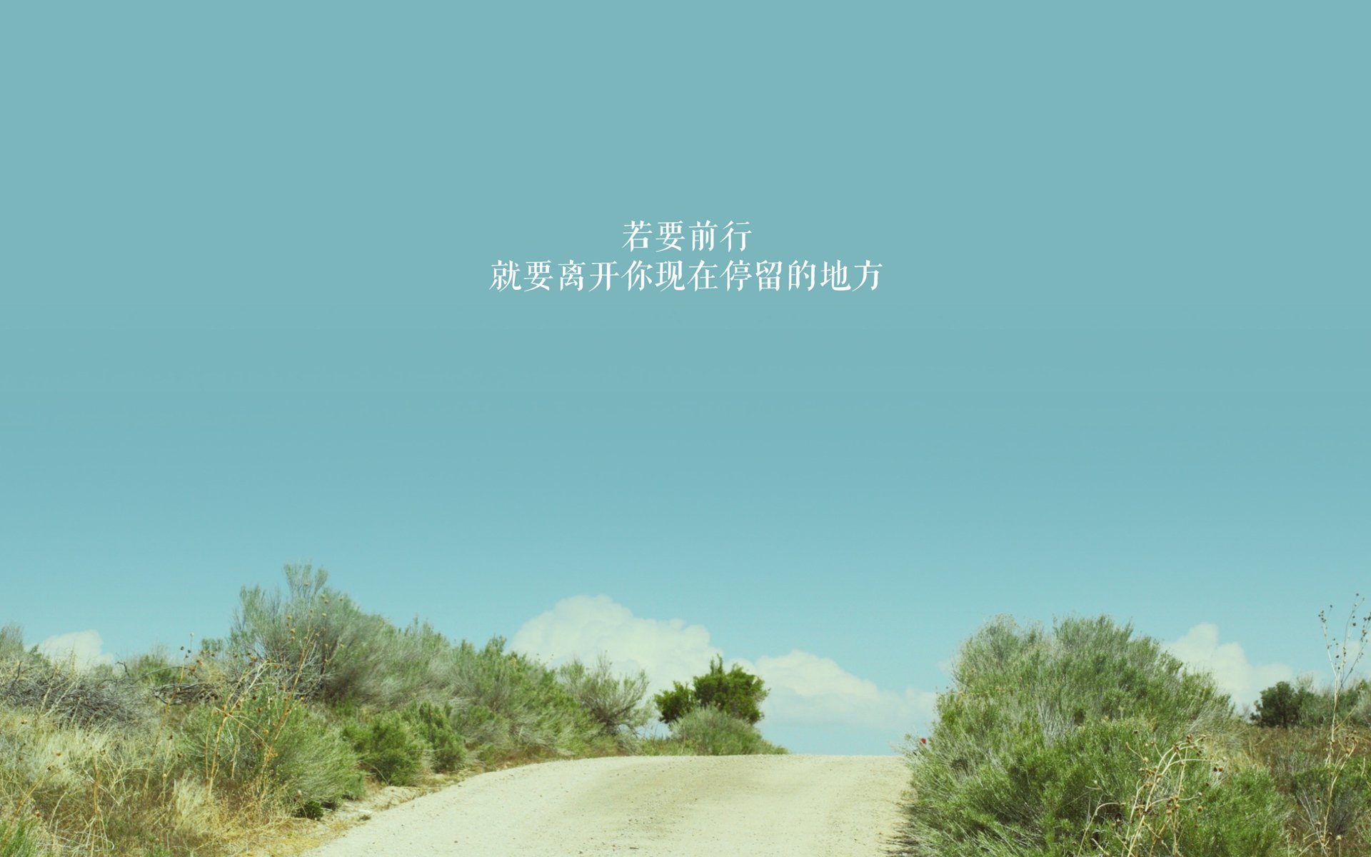 国际团体赛中的澳大利亚队:团队赛制与战术执行的融合,澳大利亚国家联赛